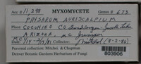 Image Associated With the Occurence
